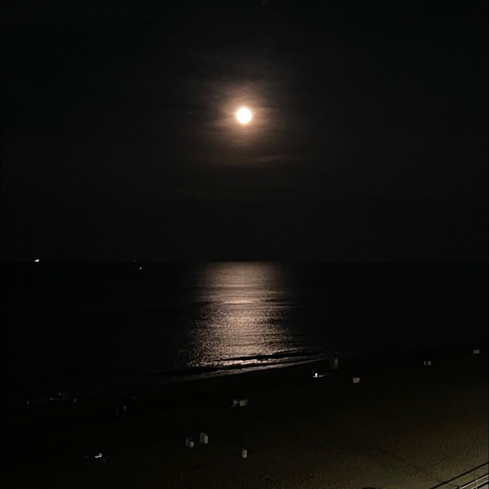 Meet your Posher, Sherry